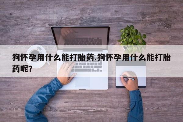 米非司酮私人微信号狗怀孕用什么能打胎药.狗怀孕用什么能打胎药呢？