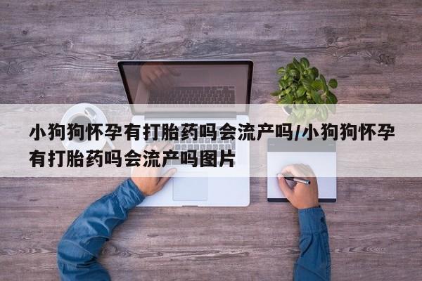 米非司酮私人微信号资讯 第17页