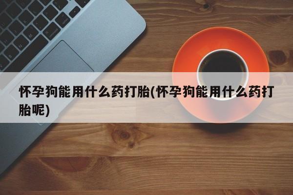 米非司酮私人微信号怀孕狗能用什么药打胎(怀孕狗能用什么药打胎呢)